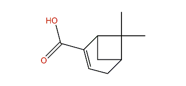 6,6-Dimethylbicyclo[3.1.1]hept-2-ene-2-carboxylic acid